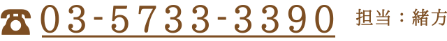 03-5733-3390